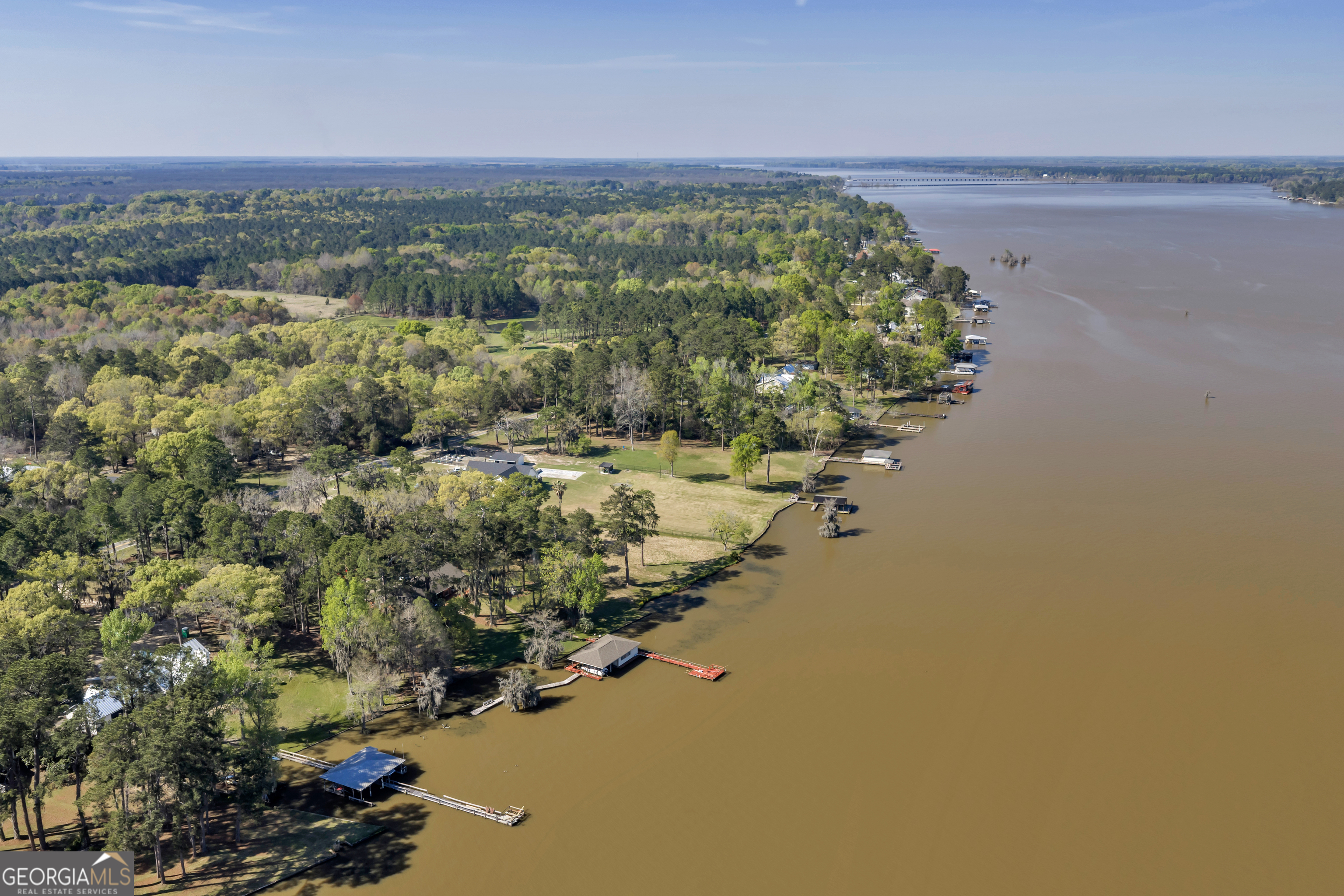 655 Flintside Drive Cobb, GA 31735 - Photo 94 of 94