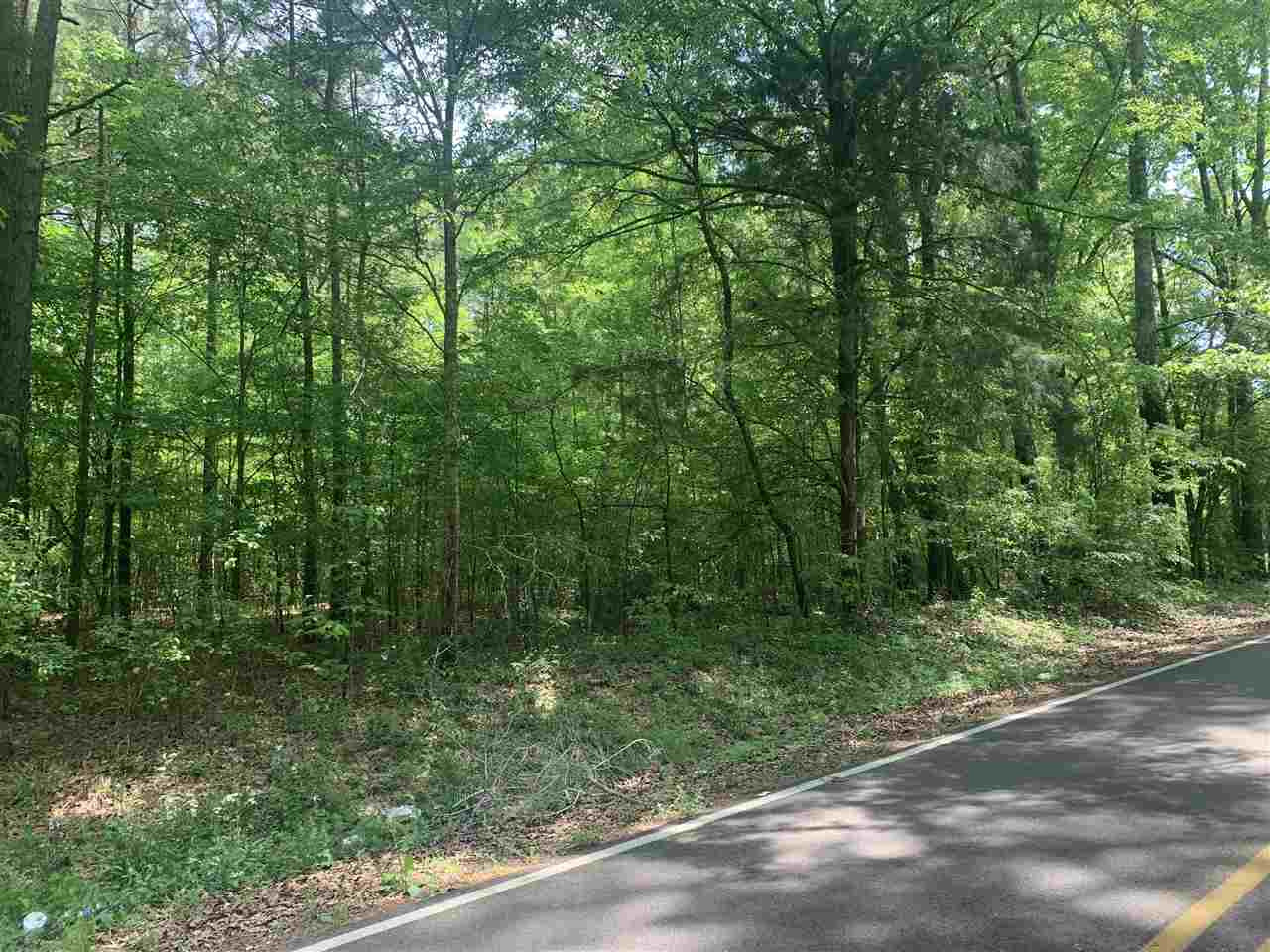 5595 Jackson Raymond Road, Unit METES AND BOUNDS Raymond, MS 39154 - Photo 2 of 4 Photo 2