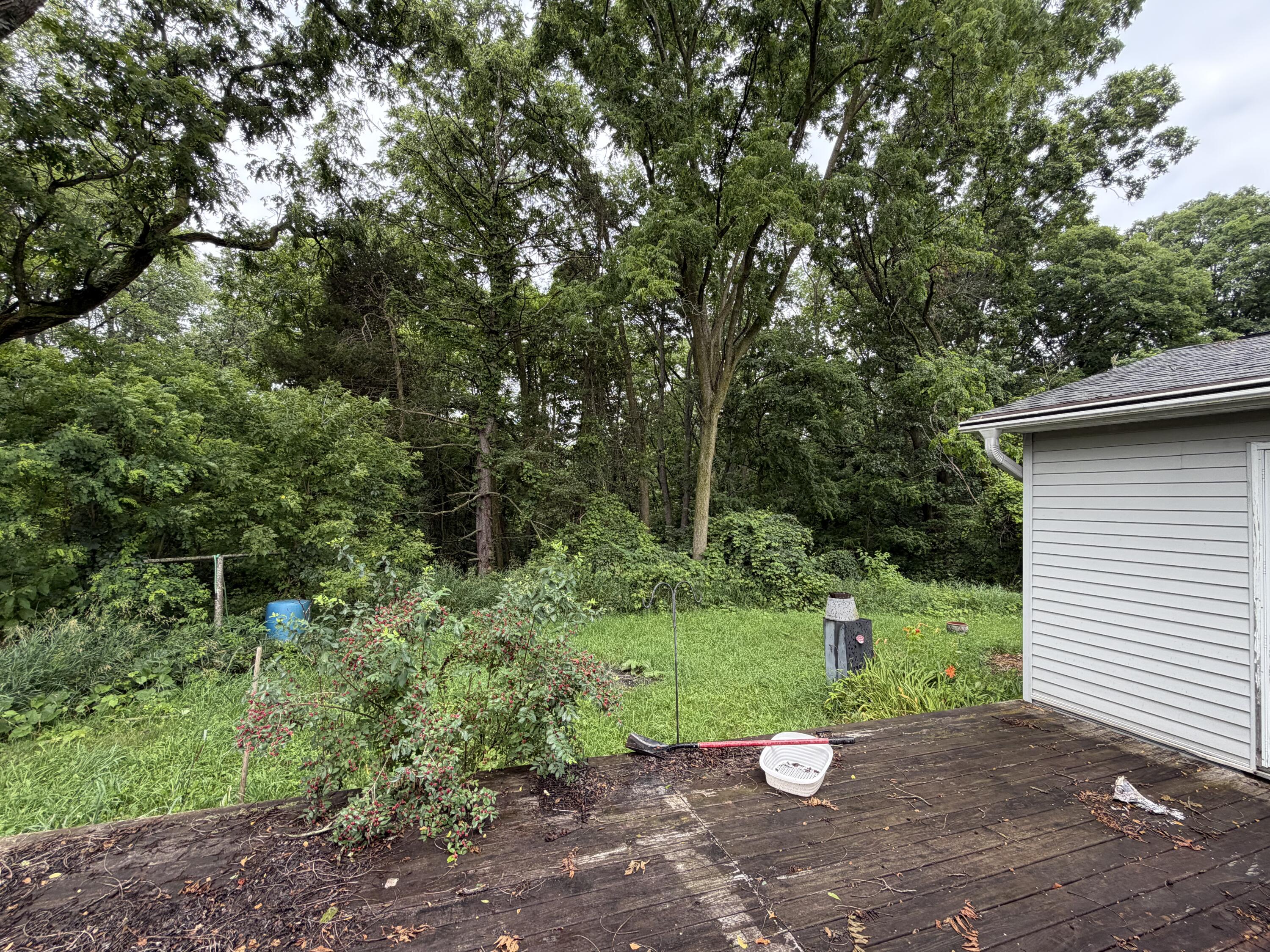 4488 Miriam Road Belding, MI 48809 - Photo 27 of 31 IMG_8643