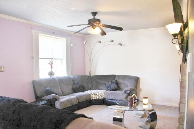 1187 West County 100 Road North Paoli, IN 47454 - Photo 17 of 28 Gallery Image 17