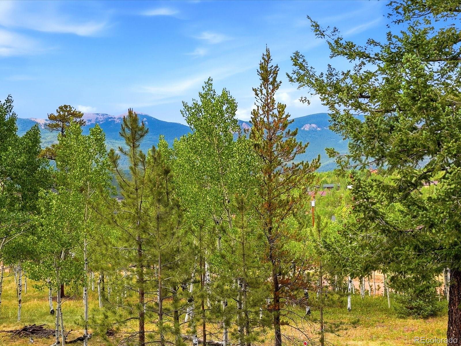10 Juniper Way Bailey, CO 80421 - Photo 41 of 41