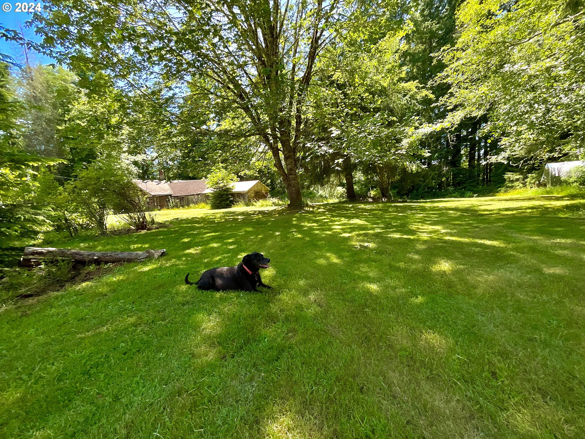 19850 Blanchard Road Cloverdale, OR 97112 - Photo 23 of 23 Gallery Image 23