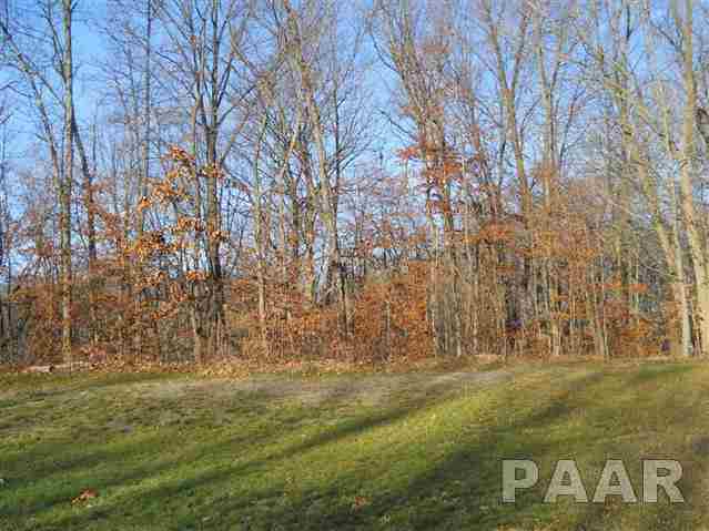 306 Greenview Dr  