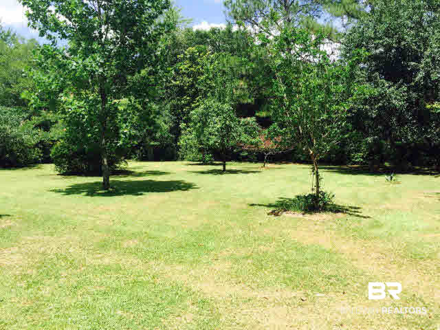 39660 Hannis Williams Road Bay Minette, AL 36507 - Photo 25 of 32 For Sale: 39660 Hannis Williams Road, Bay Minette, AL 36507 Yard