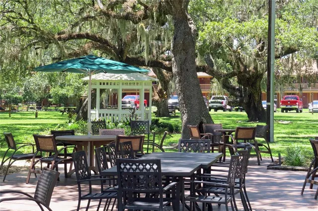 a view of a park with large trees