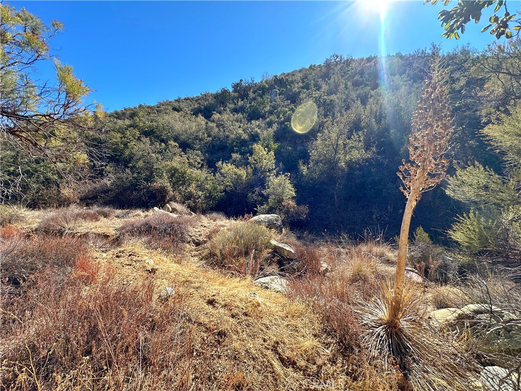 28618 Chihuahua Valley Road Warner Springs, CA 92086 - Photo 13 of 40