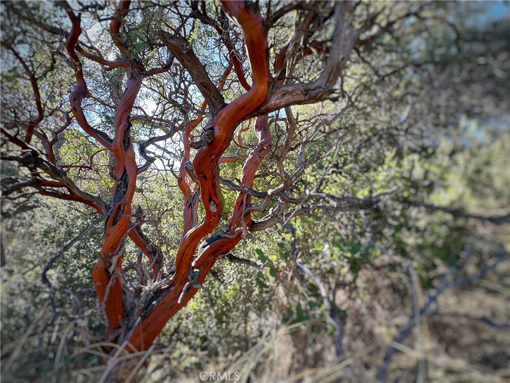 28618 Chihuahua Valley Road Warner Springs, CA 92086 - Photo 17 of 40