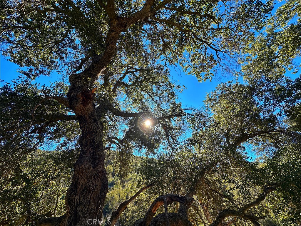 28618 Chihuahua Valley Road Warner Springs, CA 92086 - Photo 9 of 40