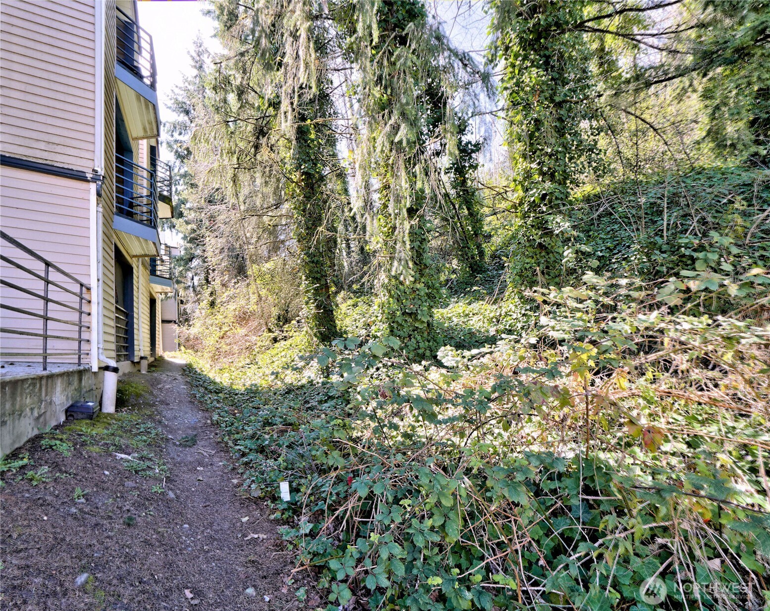 3905 Southwest Avalon Way Seattle, WA 98126 - Photo 19 of 24 Gallery Image 19