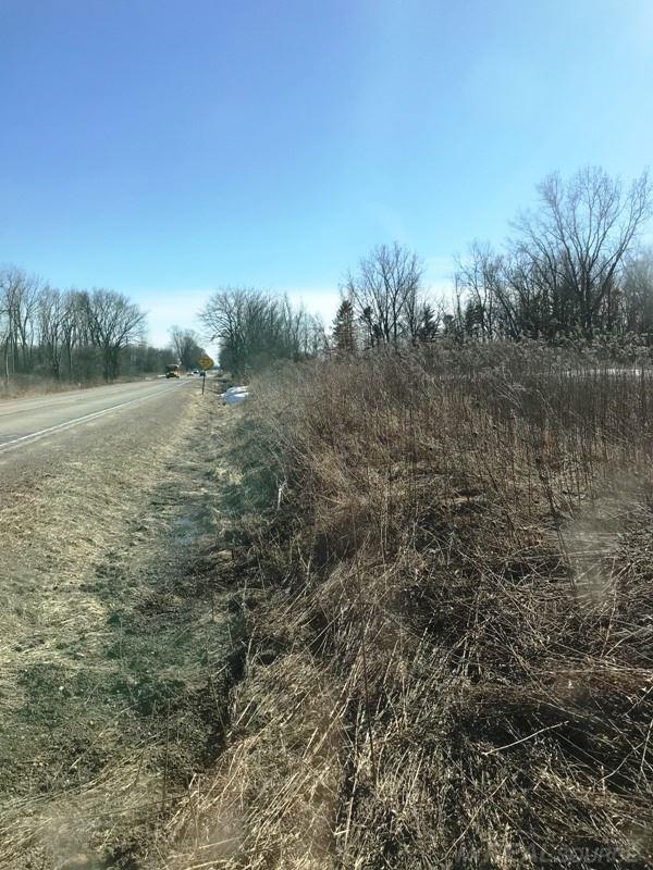 0 Fulton Road Yale, MI 48097 - Photo 2 of 7