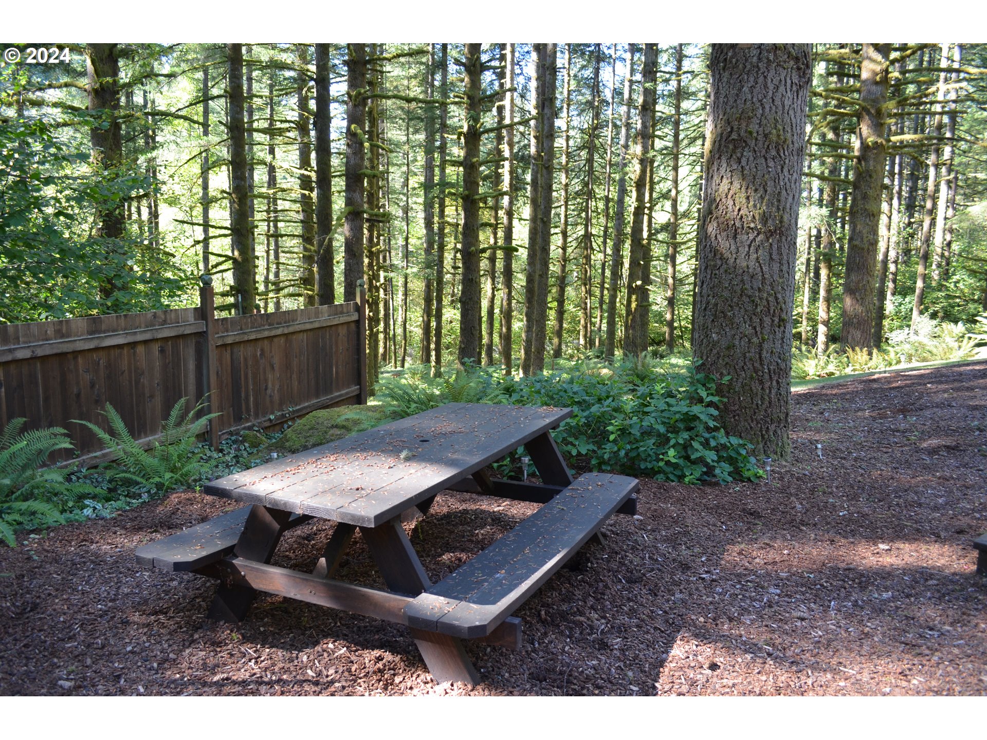 4000 Northeast Matney Road Camas, WA 98607 - Photo 6 of 42 Gallery Image 6