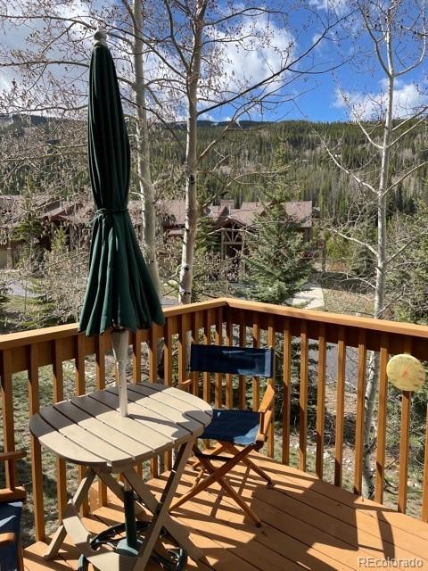 42 Snake River Road, Unit 43 Dillon, CO 80435 - Photo 18 of 29 Gallery Image 18