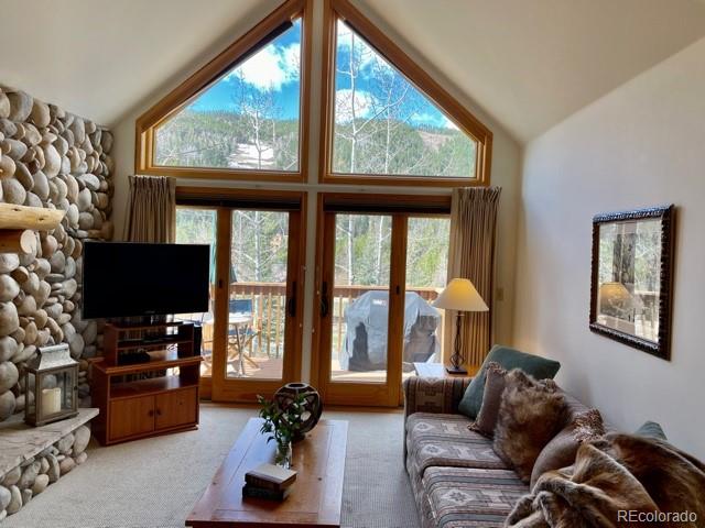 42 Snake River Road, Unit 43 Dillon, CO 80435 - Photo 5 of 29 Gallery Image 5