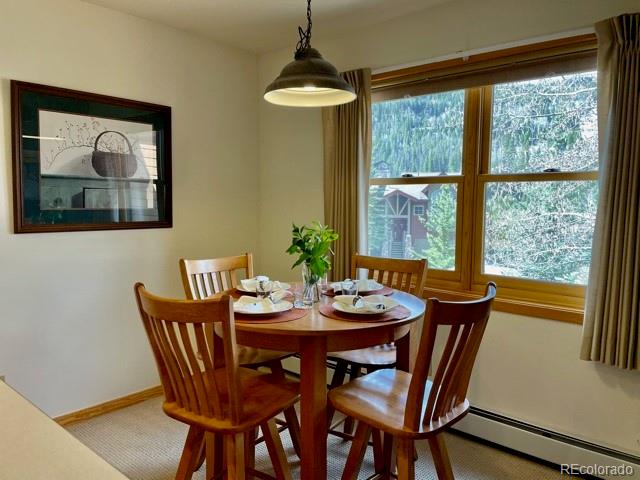 42 Snake River Road, Unit 43 Dillon, CO 80435 - Photo 8 of 29 Gallery Image 8