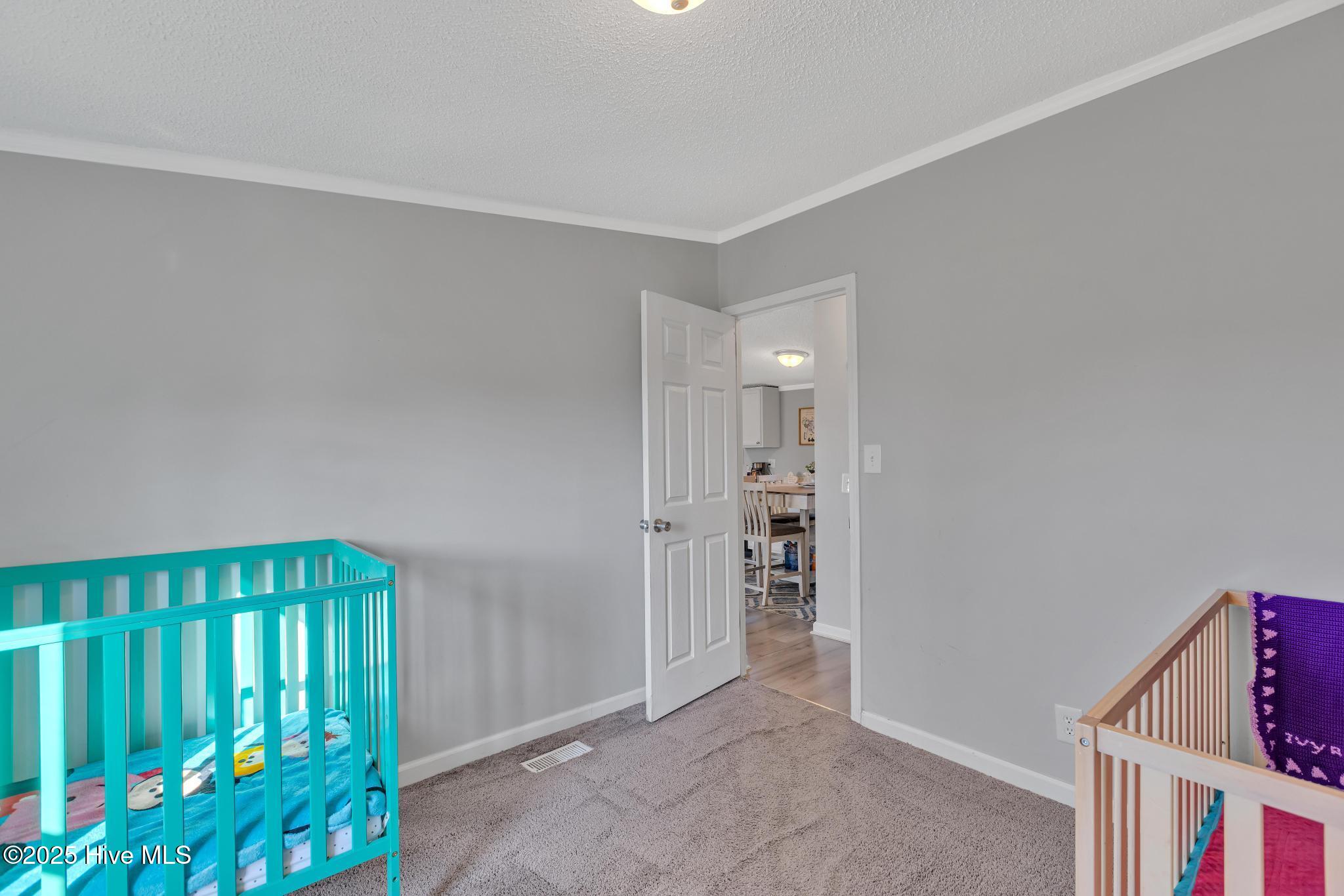 1117 Haw Branch Road Beulaville, NC 28518 - Photo 25 of 30 425A3867