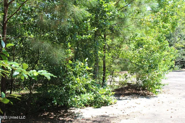 $299,000 | 15.4-acres Lloyd Eubanks Road, Lucedale, MS 39452