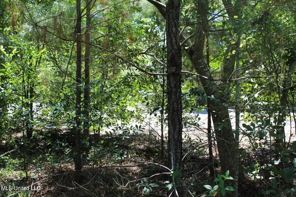 $299,000 | 15.4-acres Lloyd Eubanks Road, Lucedale, MS 39452