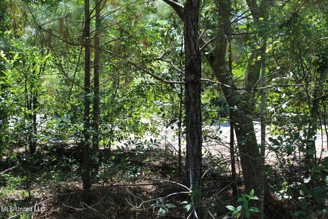 $299,000 | 15.4-acres Lloyd Eubanks Road, Lucedale, MS 39452