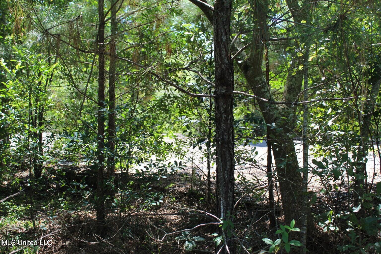 15.4-acres Lloyd Eubanks Road Lucedale, MS 39452 - Photo 3 of 6 20250826154619009230000000-o