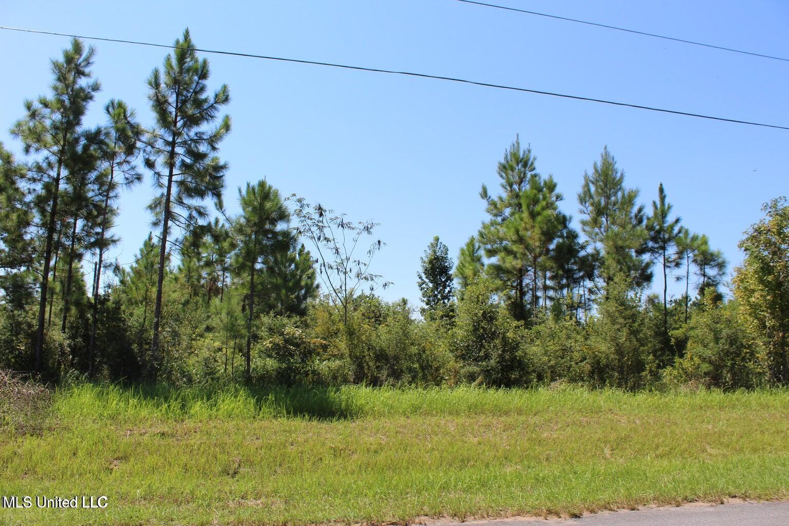 15.4-acres Lloyd Eubanks Road Lucedale, MS 39452 - Photo 4 of 6 20250826154559288638000000-o