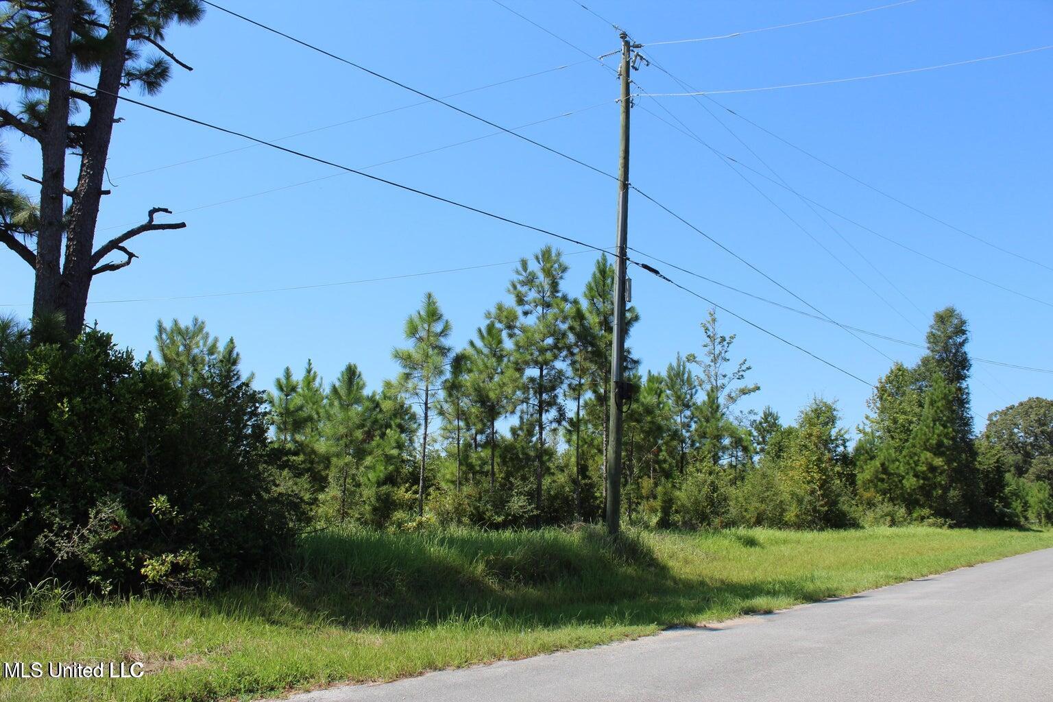 15.4-acres Lloyd Eubanks Road Lucedale, MS 39452 - Photo 5 of 6 20250826154556323348000000-o