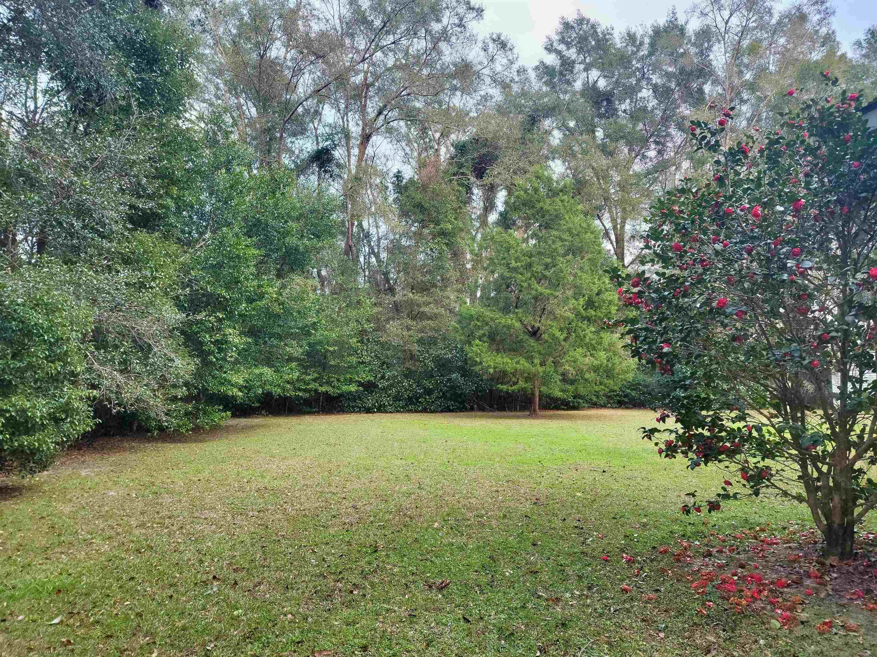 346 Northeast Biltmore Road Madison, FL 32340 - Photo 7 of 35 Gallery Image 7