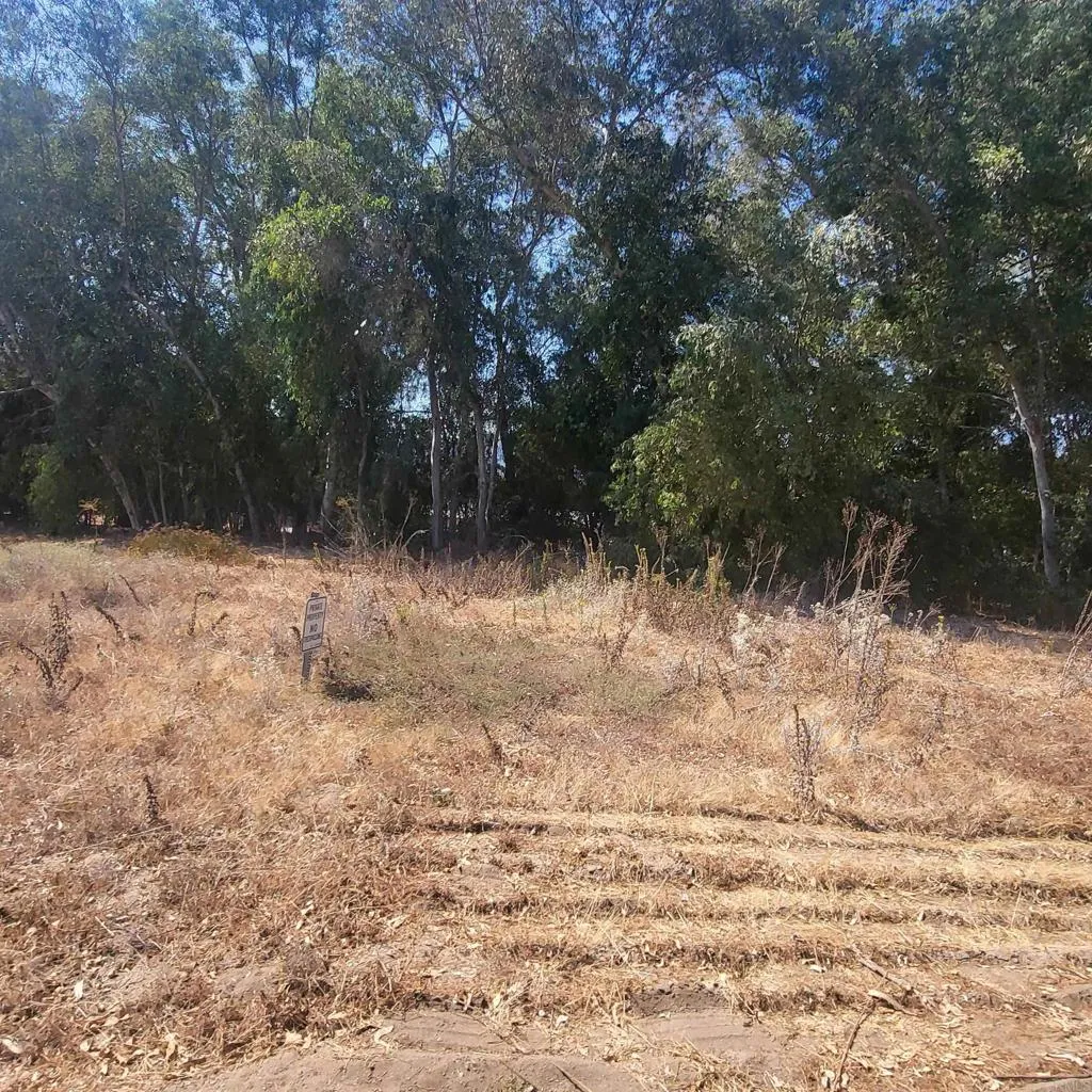 0 De Luz Murrieta Road Fallbrook, CA 92028 - Photo 4 of 5