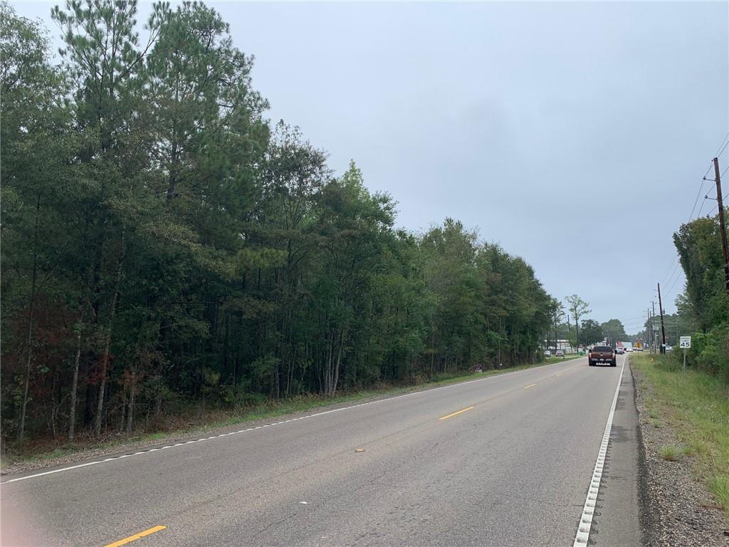 445 Highway 445 Highway Robert, LA 70455 - Photo 3 of 11