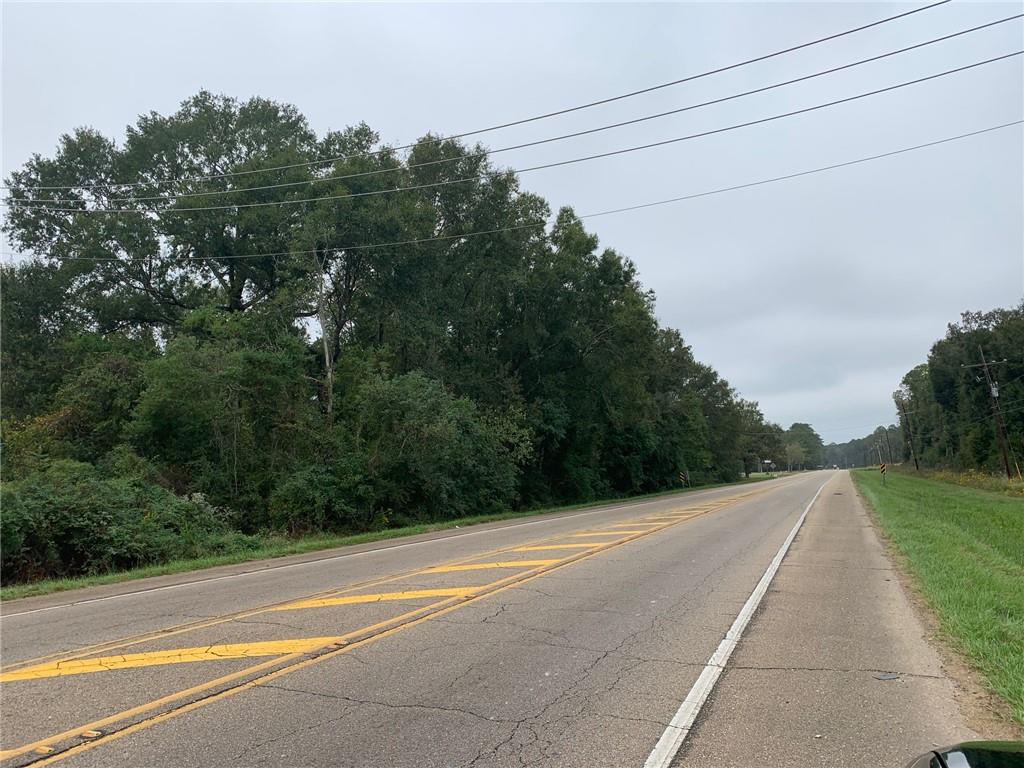 445 Highway 445 Highway Robert, LA 70455 - Photo 4 of 11