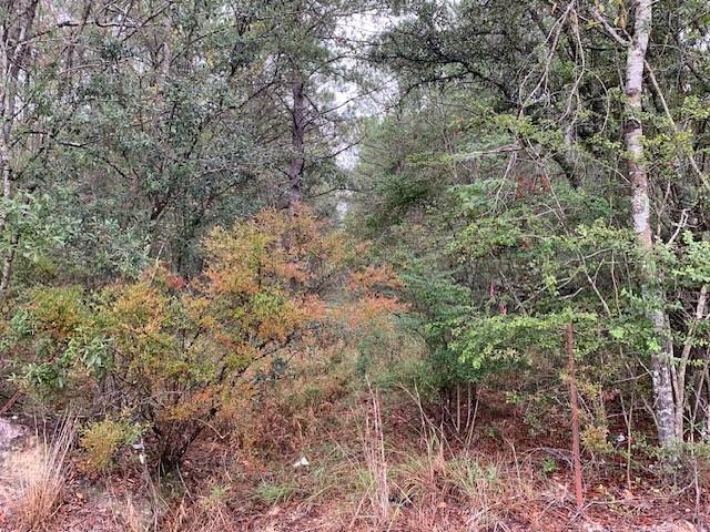 445 Highway 445 Highway Robert, LA 70455 - Photo 6 of 11