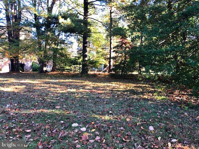 11801 Seven Locks Road Potomac, MD 20854 - Photo 6 of 10 1 acre of land - Back yard.
