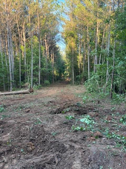 40-ac State Line Road Southeast Tremont, MS 38876 - Photo 8 of 15 Gallery Image 8