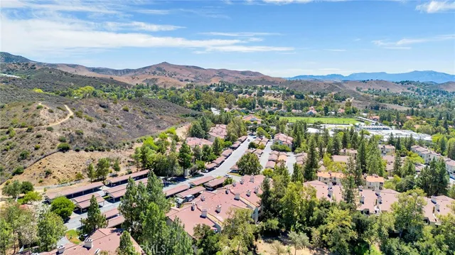 an aerial view of green landscape with trees houses and mountain view