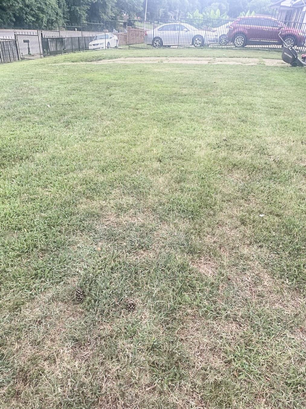 3909 Range Line Road Memphis, TN 38127 - Photo 2 of 31 a view of a lake view