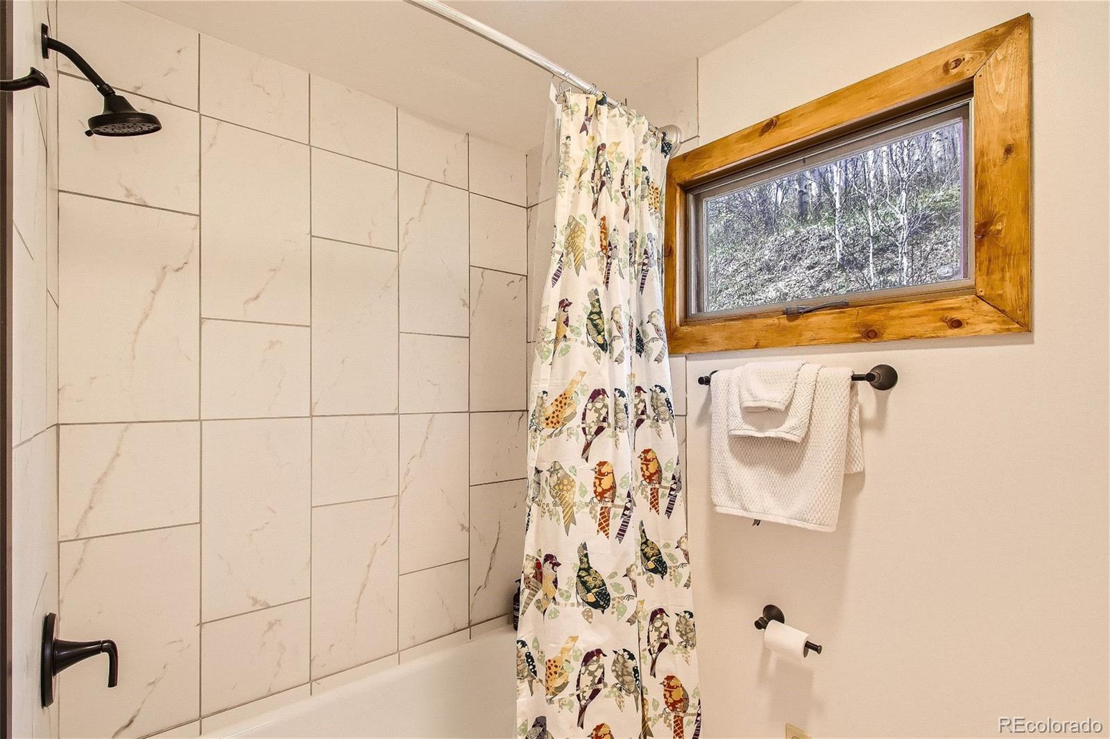 1170 Apex Valley Road Black Hawk, CO 80422 - Photo 17 of 50