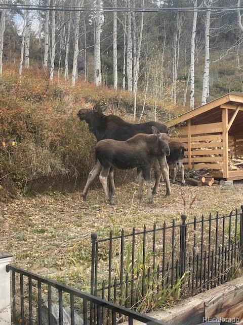 1170 Apex Valley Road Black Hawk, CO 80422 - Photo 32 of 50