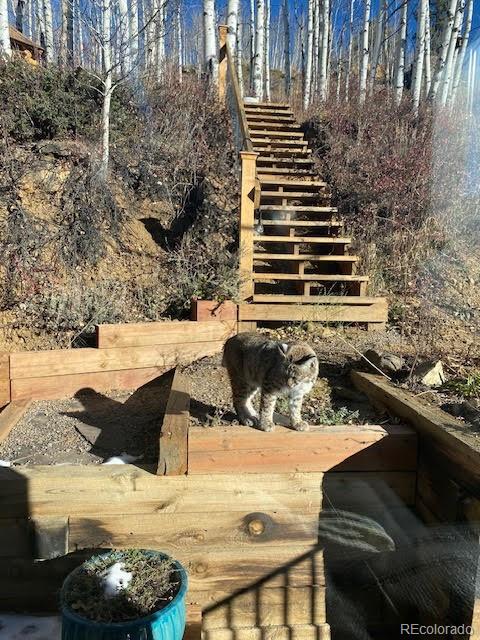 1170 Apex Valley Road Black Hawk, CO 80422 - Photo 33 of 50