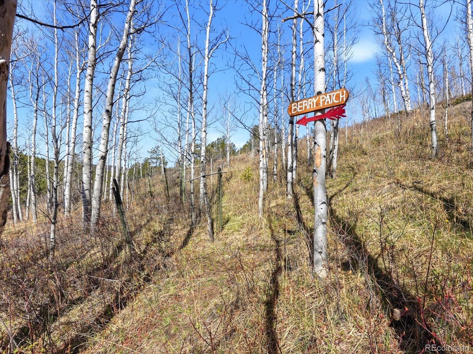 1170 Apex Valley Road Black Hawk, CO 80422 - Photo 35 of 50
