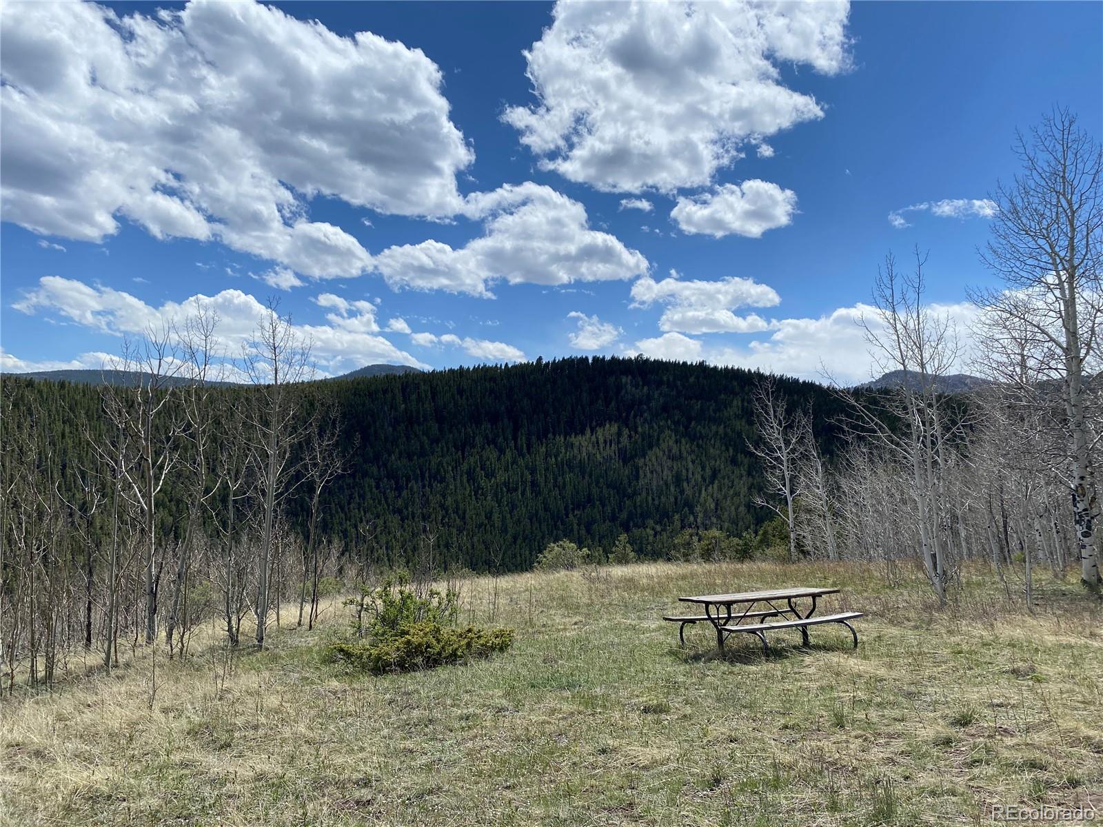 1170 Apex Valley Road Black Hawk, CO 80422 - Photo 37 of 50