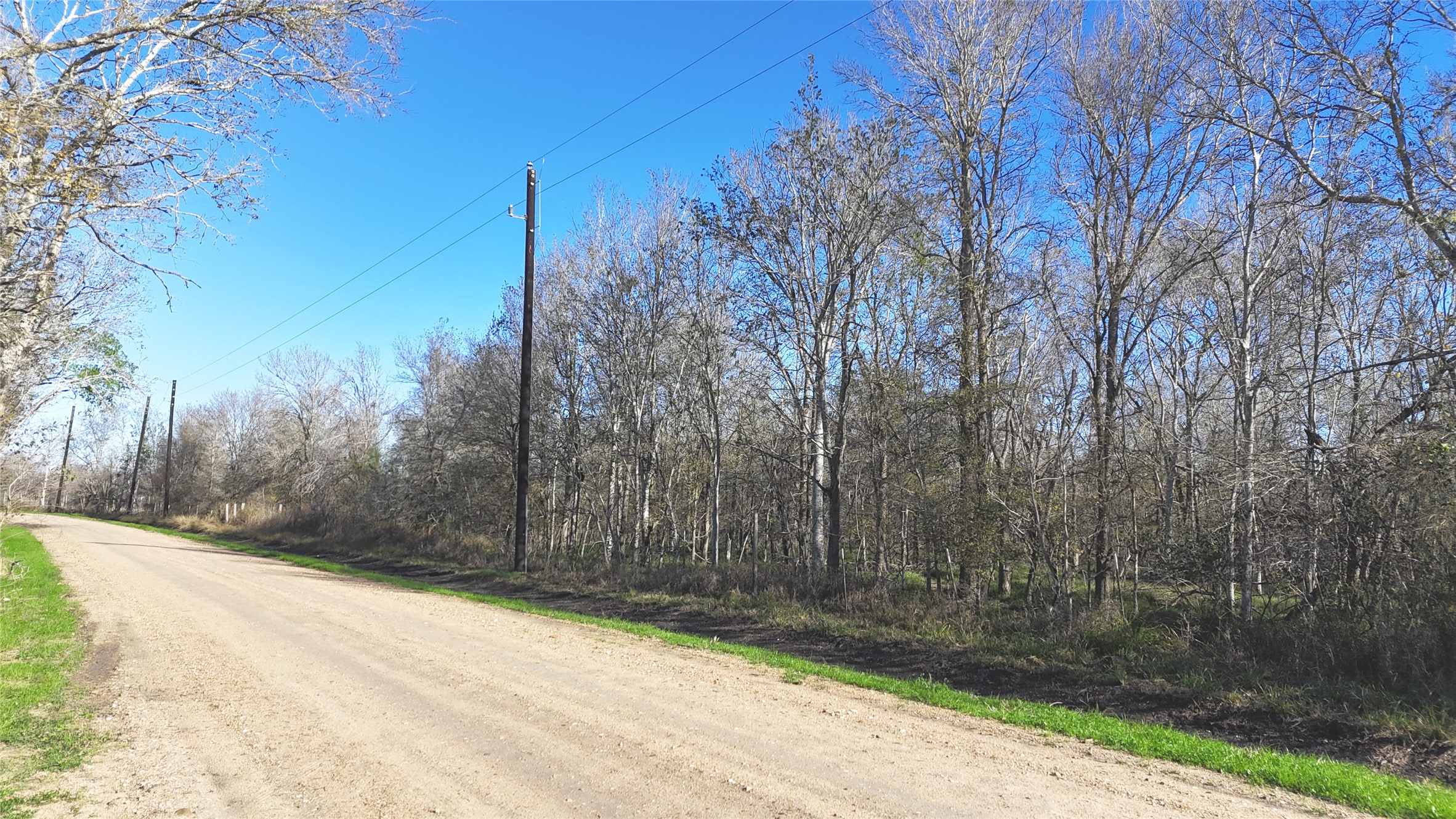 5000 Brewer Road Sealy, TX 77474 - Photo 3 of 8 a view of a yard with wooden fence