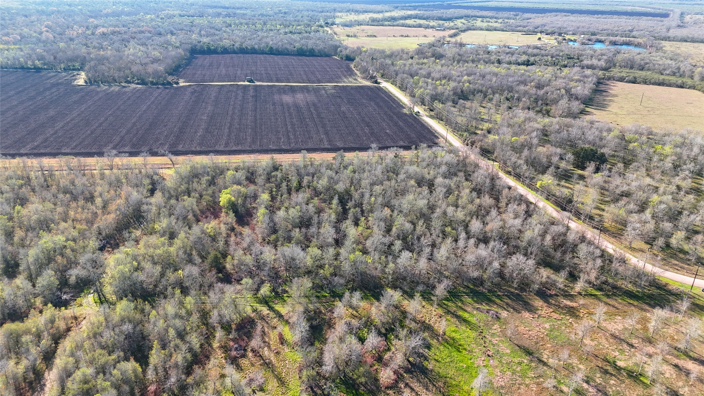 5000 Brewer Road Sealy, TX 77474 - Photo 6 of 8 a view of a yard