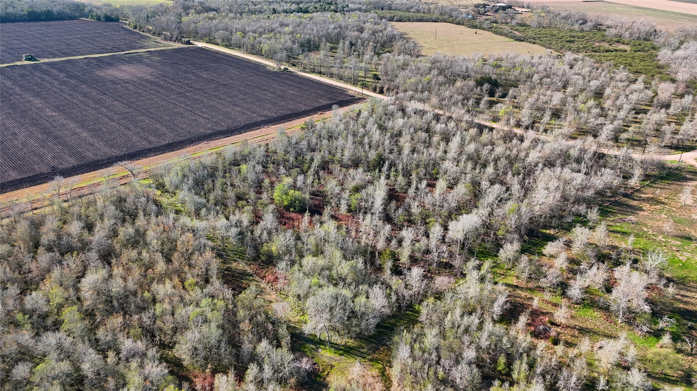 5000 Brewer Road Sealy, TX 77474 - Photo 7 of 8 a view of a backyard