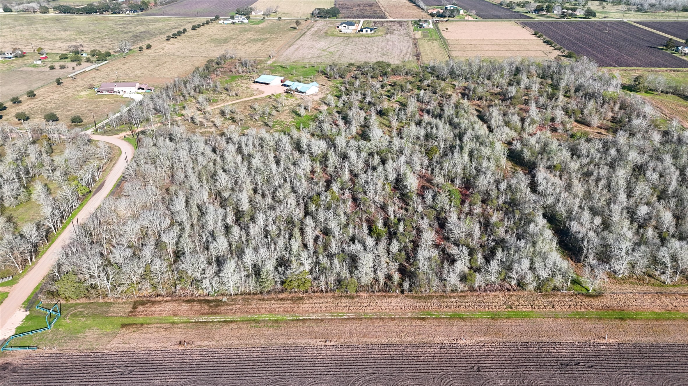 5000 Brewer Road Sealy, TX 77474 - Photo 8 of 8 a view of a yard