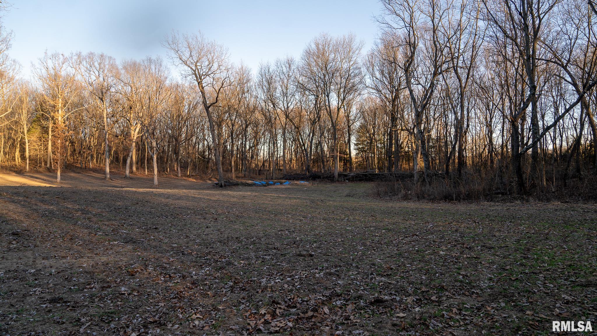 1 East 1050 Road Kilbourne, IL 62655 - Photo 16 of 36