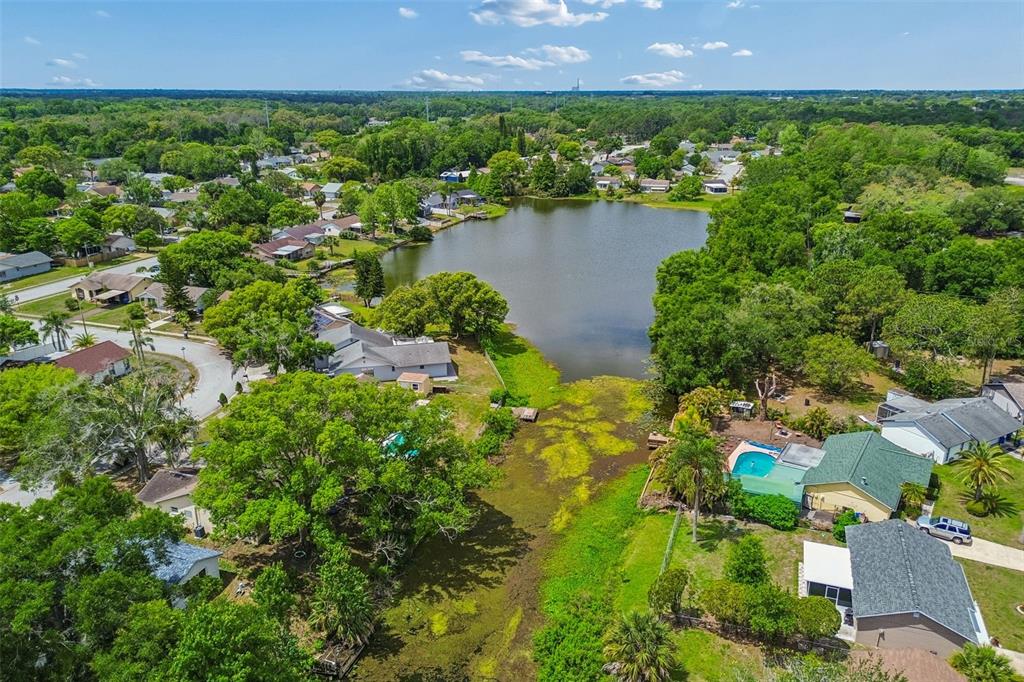 7038 Jenner Avenue New Port Richey, FL 34655 - Photo 53 of 60