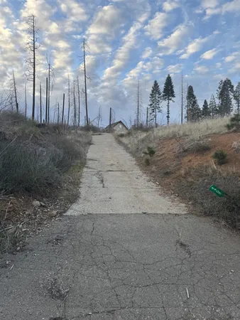 a view of a yard with a tree in the background