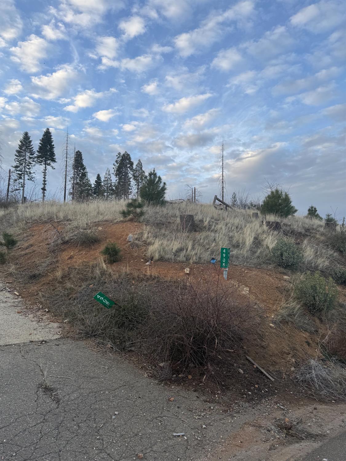 4908 Sciaroni Road Grizzly Flats, CA 95636 - Photo 2 of 4 a view of a dry yard with trees