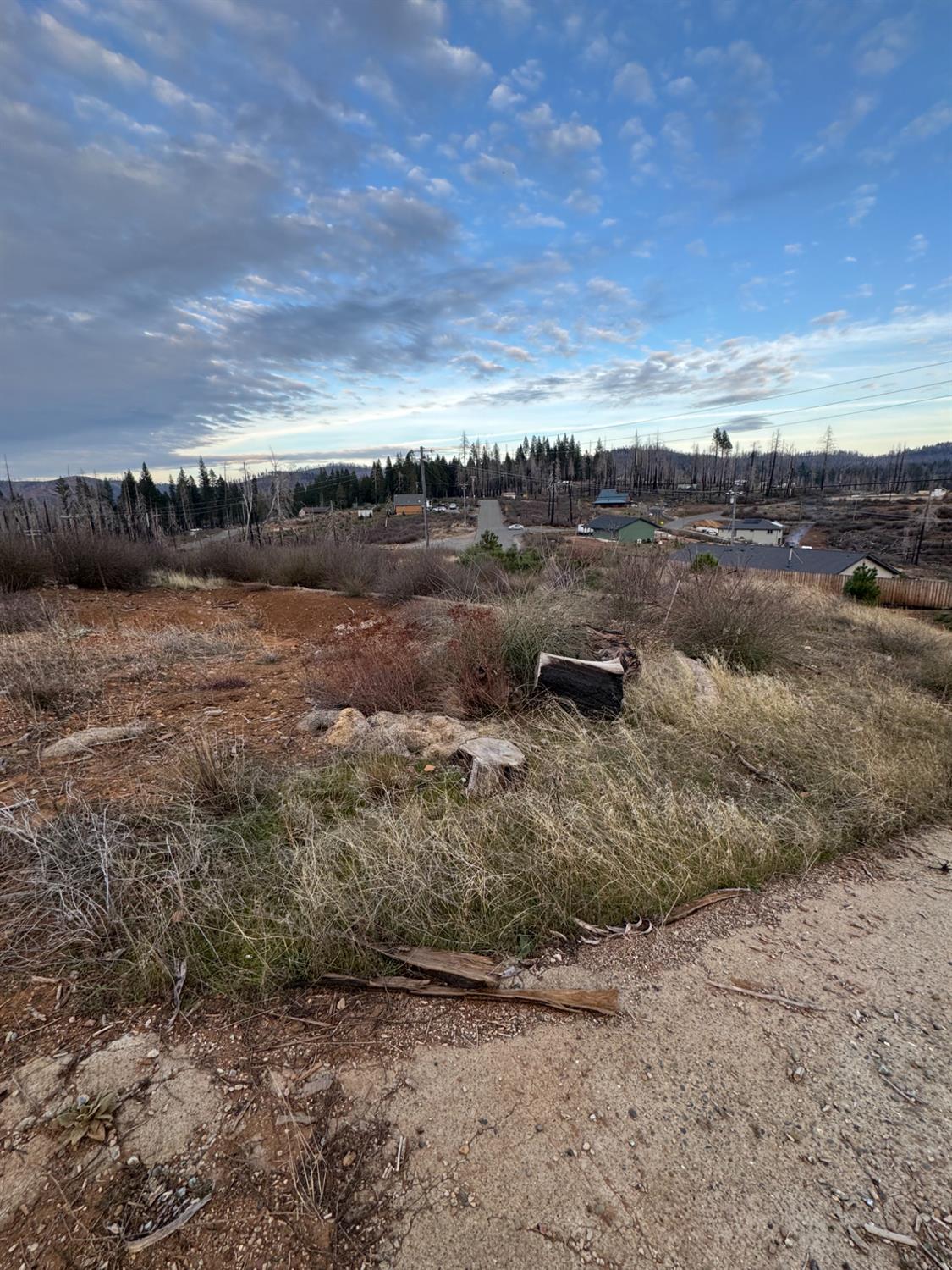 4908 Sciaroni Road Grizzly Flats, CA 95636 - Photo 3 of 4 a view of a road with an ocean view