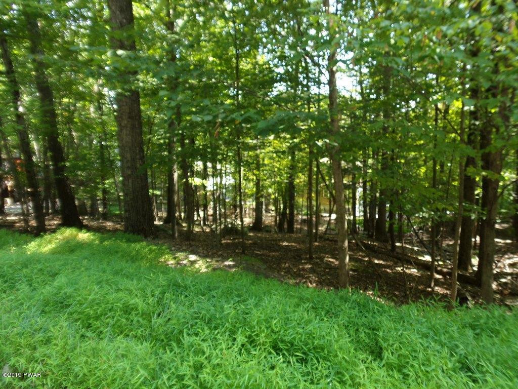52 Mustang Road Lake Ariel, PA 18436 - Photo 7 of 21
