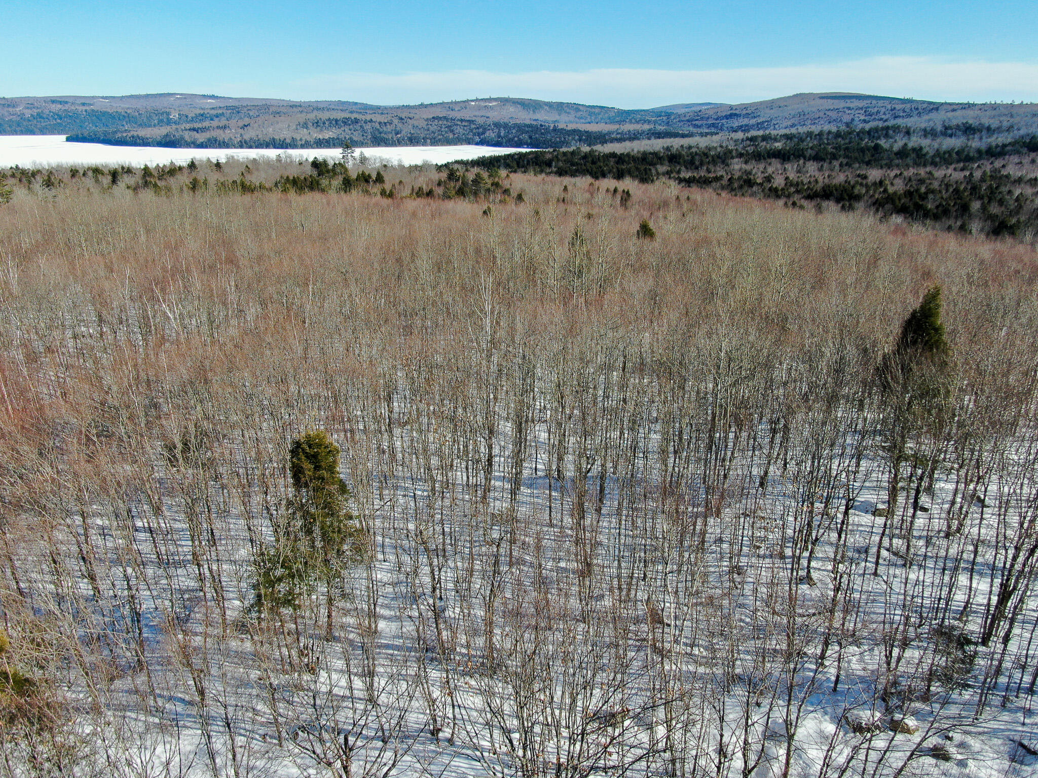 575 West Old Main Road Lowell, ME 04493 - Photo 5 of 16 DJI_0103